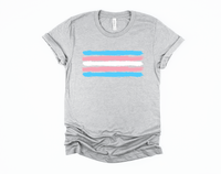 Trans Pride T-Shirt | Trans Flag Shirt | Subtle Transgender Shirt | LGBTQ Pride | Pride Month | Hearts Not Parts | LGBT Gift