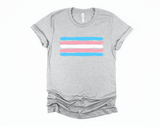 Trans Pride T-Shirt | Trans Flag Shirt | Subtle Transgender Shirt | LGBTQ Pride | Pride Month | Hearts Not Parts | LGBT Gift